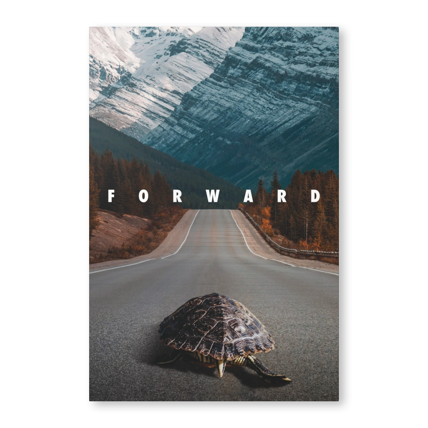 FORWARD