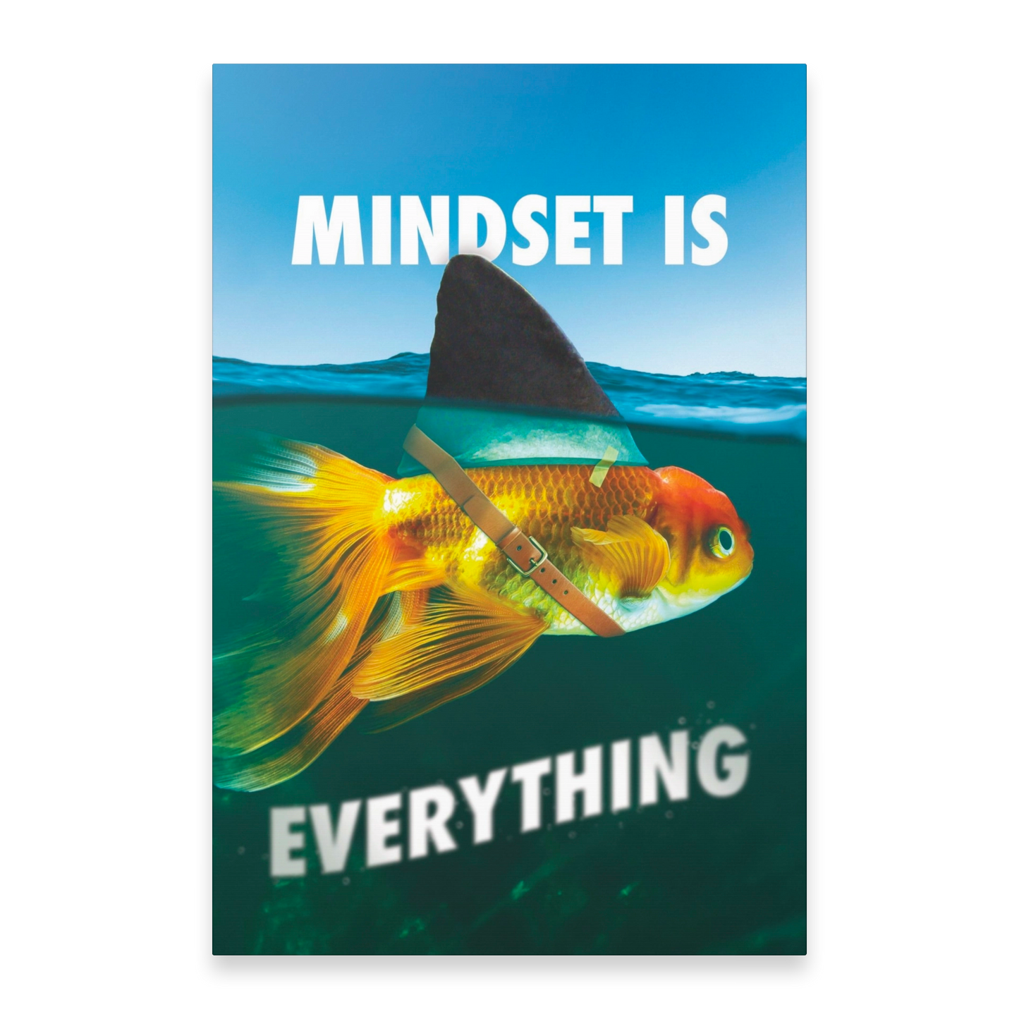 MINDSET IS EVERYTHING